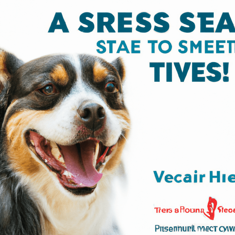 How Can I Make Trips To The Vet Less Stressful For My Pet?