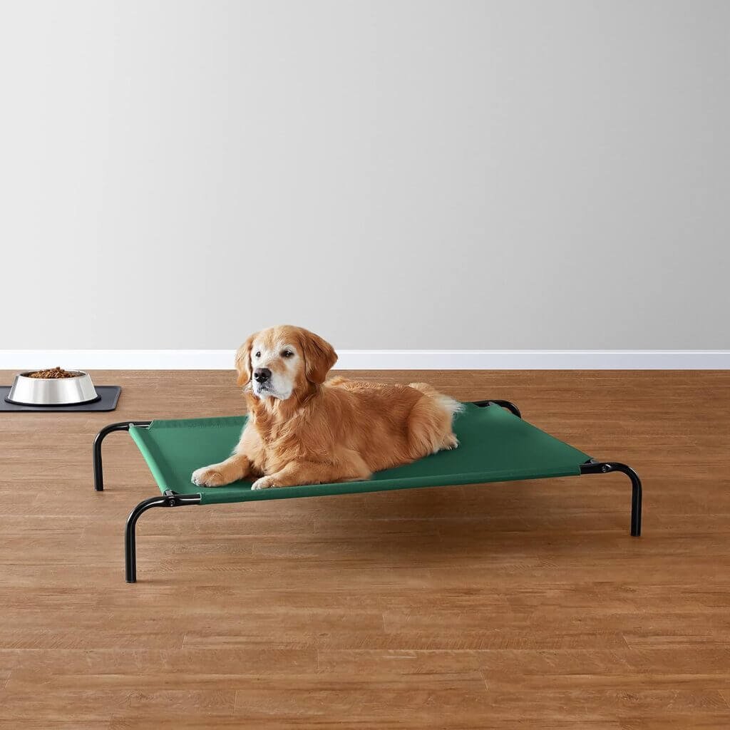 Amazon Basics Cooling Elevated Dog Bed with Metal Frame, Large, 51 x 31 x 8 Inch, Green