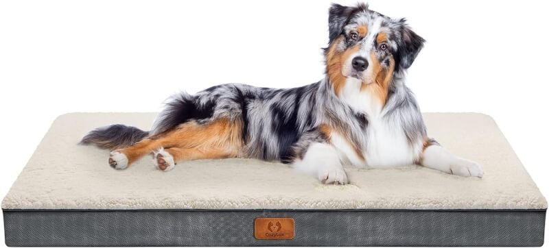 CozyLux Dog Bed for Large Dogs, Big Orthopedic Egg Crate Foam Dog Pad with Removable Washable Cover, Pet Bed Mat Suitable for Dogs Up to 65lbs (35 x 22 x 3 inch, Dark Grey)