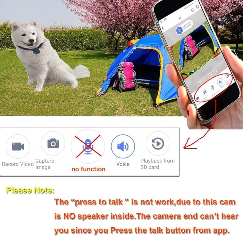 Digital Pet Collar Cam Camera DVR Video Recorder Monitor for Dog Puppy Little Bigger Size Use Black (with TF Card 8GB)