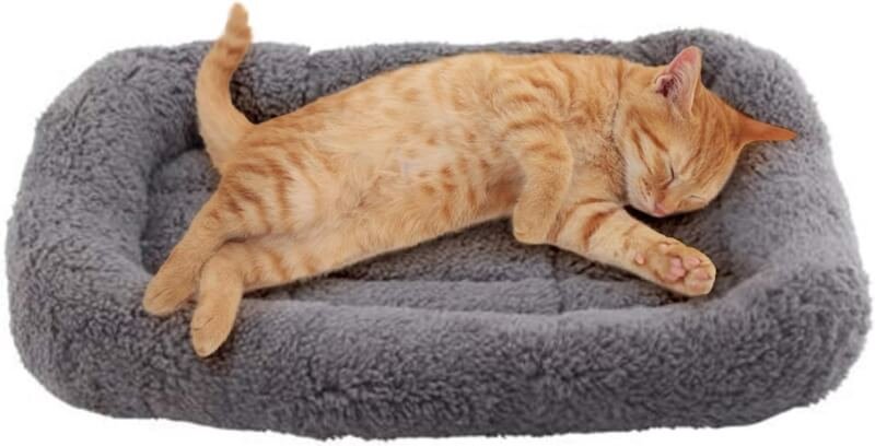 Enjoying Plush Cat Bed Mat 10 x 15 Pet Cushion with Pillow Around for Puppy Curling Sleep Cat Pad for Cat Carrier/Crate Dog Self-Warm Bed, Antiskid Bottom, Small