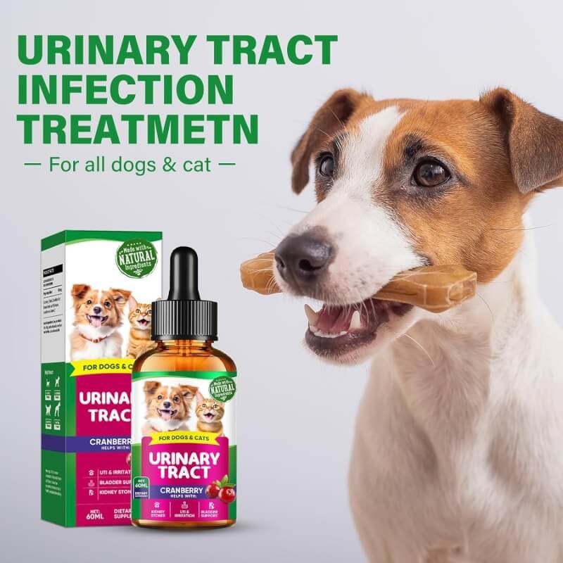 Fancy Pets Cat  Dog Urinary Tract Infection Treatment, Natural UTI Care Drops, Kidney and Bladder Support Supplement, Prevention Incontinence  Bladder Stones, Keep Pet Renal Health, 60ml