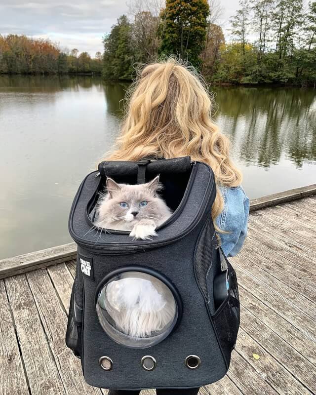 Fat Cat Stray Backpack Carrier - Premium Pet Carrier Airline Approved with Space Capsule Bubble for Small Cats, Kitten - Cat Backpack Carrier for Travel, Hiking, Pet Supplies and Cat Accessories