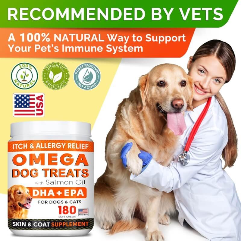 Fish Oil Omega 3 Treats for Dogs - Allergy and Itch Relief - Skin and Coat Supplement - Joint Health - Wild Alaskan Salmon Oil - Shedding, Itchy Skin Relief - Omega 3 6 9 - EPA  DHA - 180 Treats