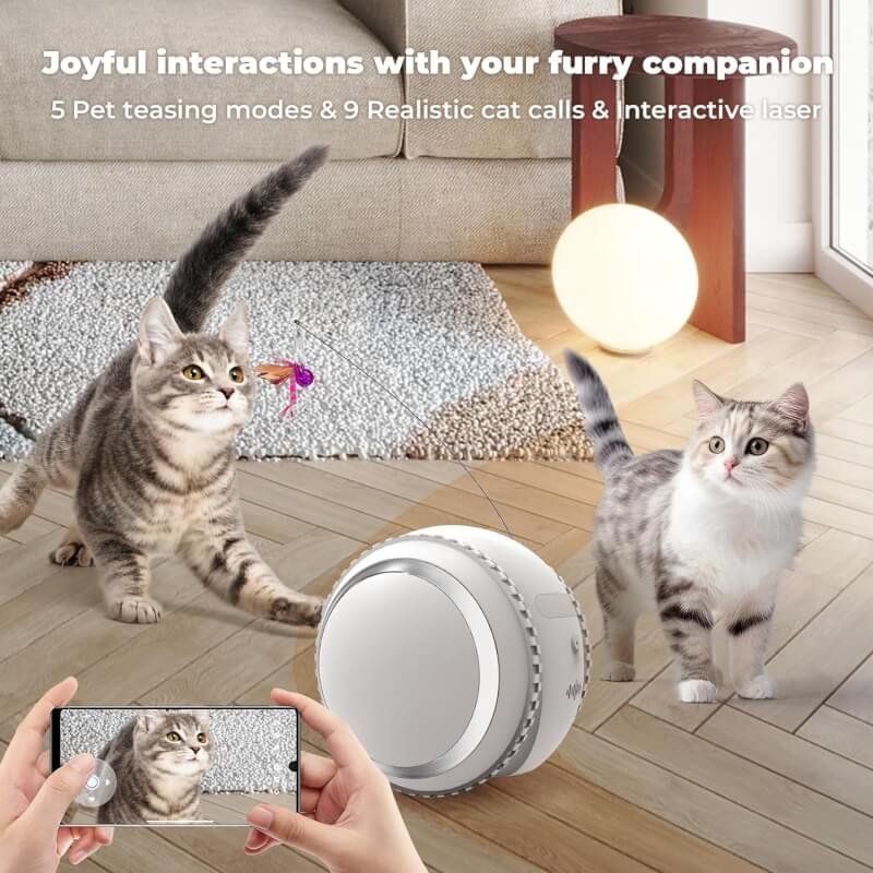 KITPLUS Cat Camera, Pet Monitoring Camera with Phone APP, 2-Way Audio Move Freely WiFi Wireless Pet Robot Camera for Dogs and Cats, Auto-Recharging, Privacy Protection
