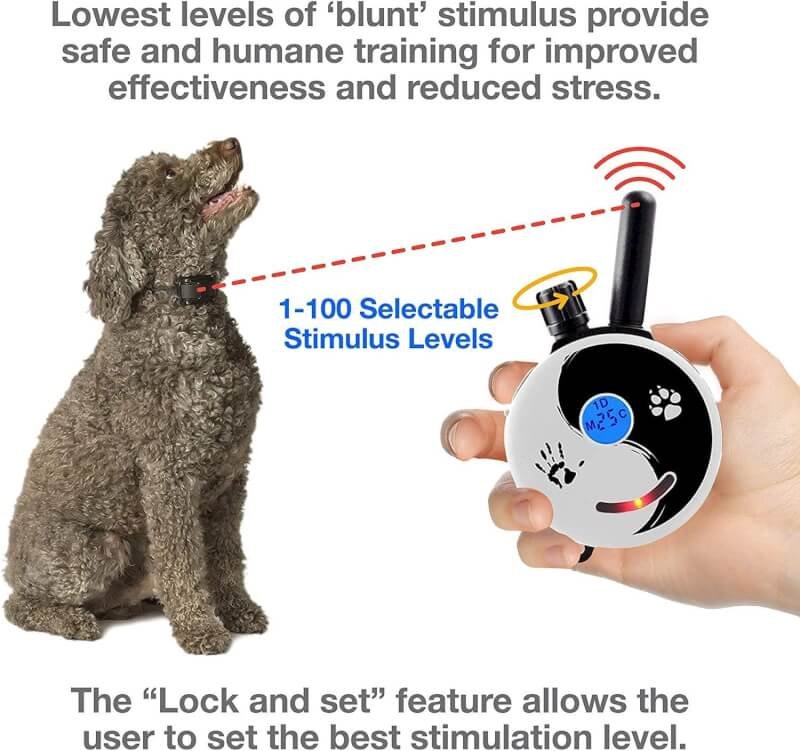 Mini Educator E-Collar ET-300 / ET-302 Dog Training Collar System with Remote - 1/2 Mile Range - WaterProof, Vibration, Tapping, Sensation - includes eOutletDeals Pet Towel (1 Dog System - ET-300 ZEN)