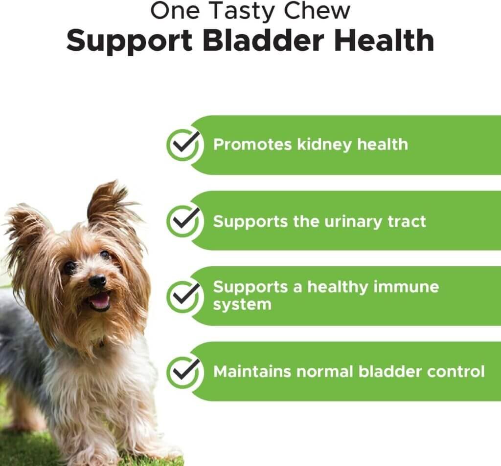 Pet Honesty Bladder Health Cranberry Supplement for Dogs – Kidney Support for Dogs, Dog UTI - Cranberry  D-Mannose to Help Support Dog Urinary Tract Health, Dog Urine  Dog Bladder Support (Chicken)