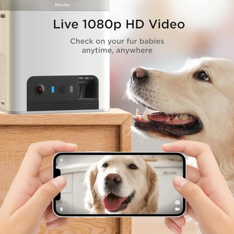 Petcube Bites 2 Lite with Play 2 Cameras Bundle | Cameras with Treat Dispenser and Laser Toy, 1080p HD Video, Night Vision, Two-Way Audio, Sound and Motion Alerts, Cat and Dog Monitor