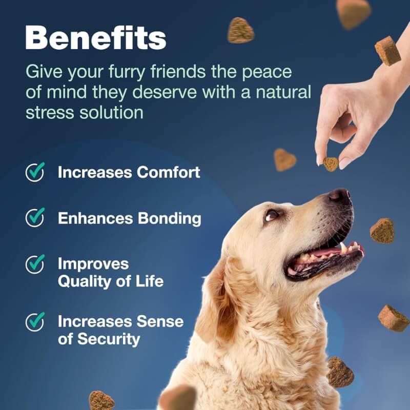 Probiotics for Dogs - Support Gut Health, Immunity, Yeast Balance, Itchy Skin, Allergies - Dog Probiotics and Digestive Enzymes for Small, Medium and Large Dogs - 180 Probiotic Chews for Dogs, Duck
