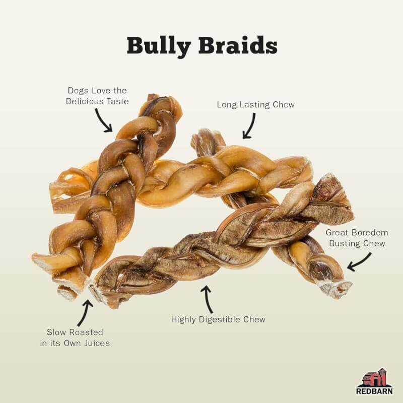Redbarn All Natural 8-12” Braided Bully Sticks for Medium  Large Dogs - Healthy Long Lasting Chews Variety Party Pack - 100% Beef Single Ingredient Low Odor Rawhide Free Dental Treats - 1 lb. Bag