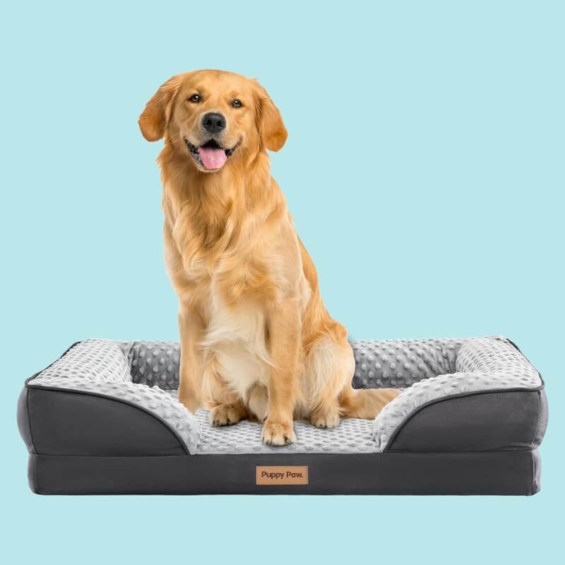 Soft Supportive Certipur-Us Certified Egg Crate Foam Dog Bed for Large Dogs, Waterproof Inner Lining, (35 x 25 x 7, Up to 75LBs)
