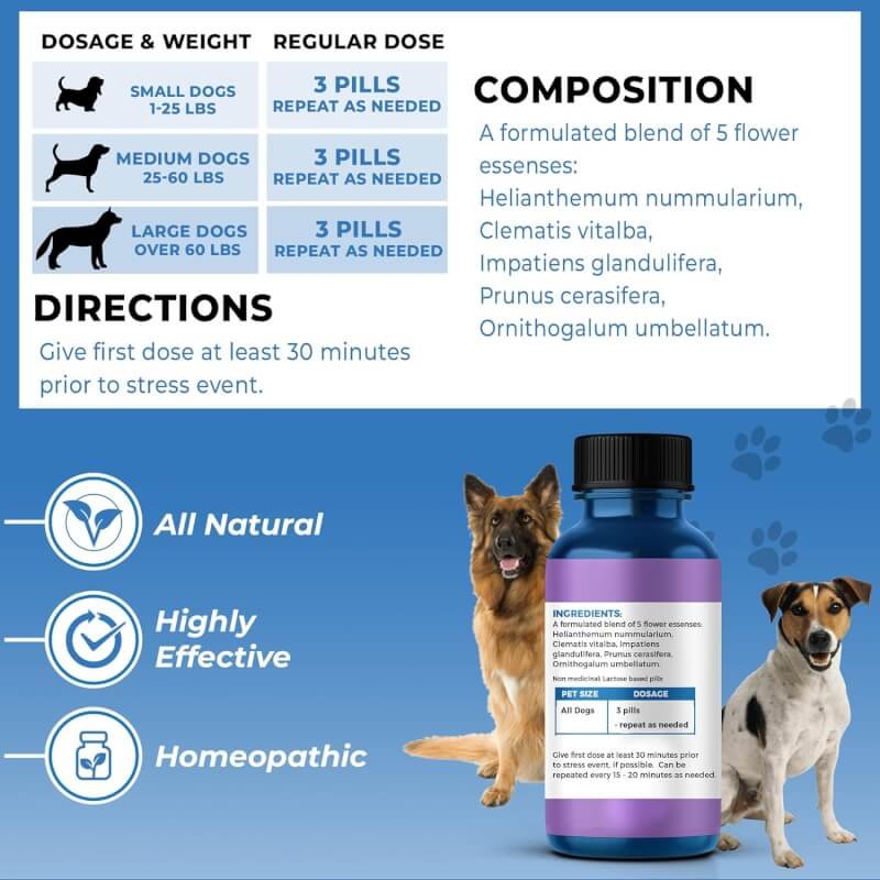 BestLife4Pets Pet Relax Dog Anxiety Stress Calming Relief - Natural Homeopathic Formula for Travel, Fireworks, Thunderstorms - Long-Lasting Comfort and Tranquility - 400 Odorless, Tasteless Pills