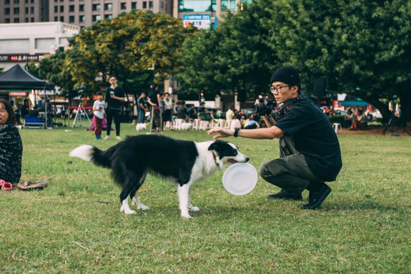 Dog Training Shaping Behavior