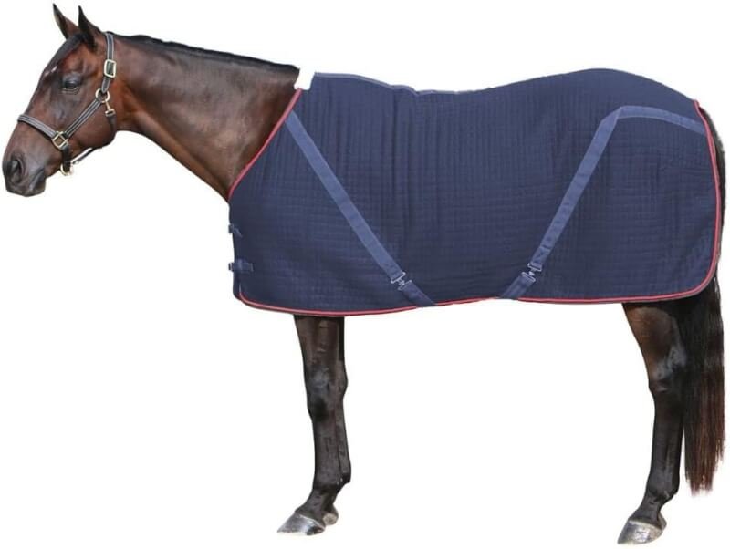 Dura-Tech Ashby Thermal Rug Horse Stable Sheet | Versatile Equestrian Essential | Rapid Moisture Wicking | Multi-Functional | Comfortable Fleece at Wither