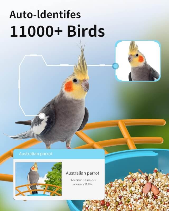 LongPlus Smart AI Bird Feeder Camera, Bird Watching Camera with Identify 11000+ Bird Species, Auto Motion Detection Notify, 2 Way Audio, Color Night Vision, 2L Large Container