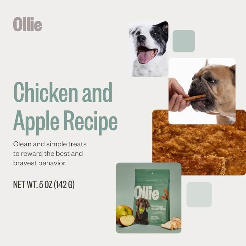 Ollie Chicken and Apple Recipe Jerky Dog Treats - Dog Jerky Treats All Natural - Healthy Dog Treats - Chicken Jerky for Dogs - Real Meat Dog Treats 5 Oz.