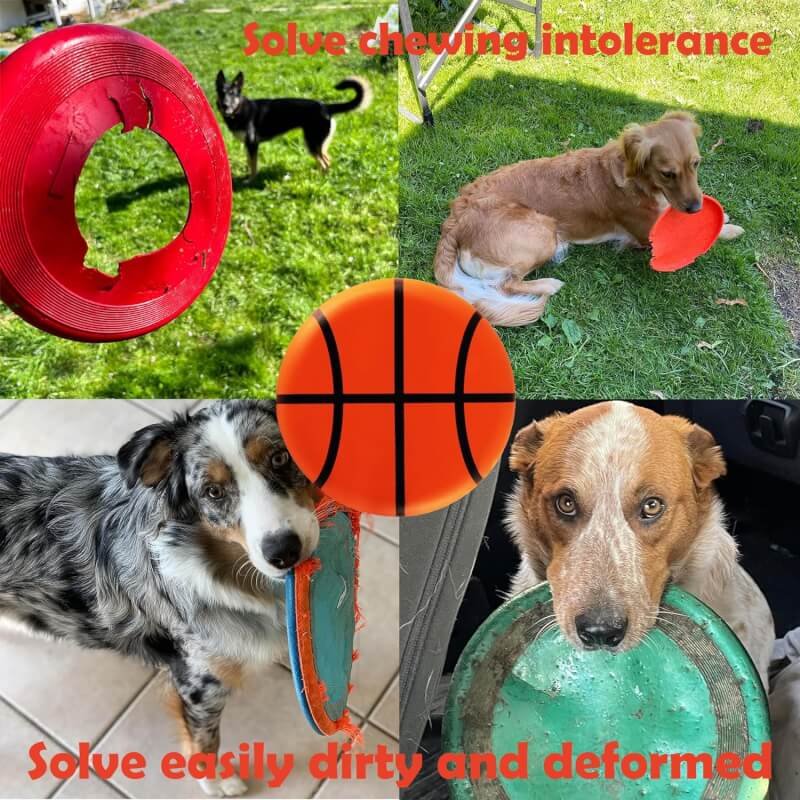 Rainbow-K9 Dog Flying Disc Lightweight, Pets Dog Frisbees, Floating Water Dog Toy, Dog Launchers Toy, The Best Gift for Your Lovely Pet (Black)