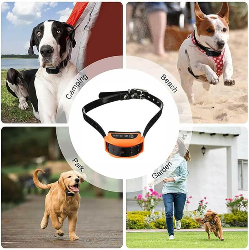 SXDDHZX Wireless Dog Fence Electric Pet Containment System with Remote, Adjustable Control Range 80 to 1640 Feet, Waterproof Collar, Vibration  Shock, Electric Pet Fence for Stubborn Dogs,for3dogs