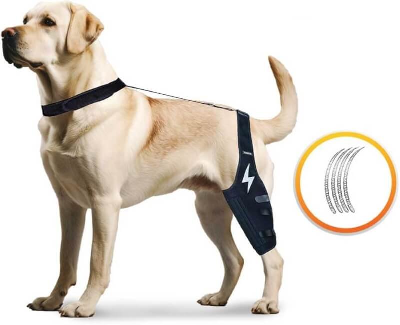 TORKOX Dog Knee Brace, Different Spring Design for Each Dog, Dogs Support and acl Knee for cruciate Leg, Torn ACL and CCL Injuries, Best Support for Canine Hind Leg Joint Pain and Luxating Patella