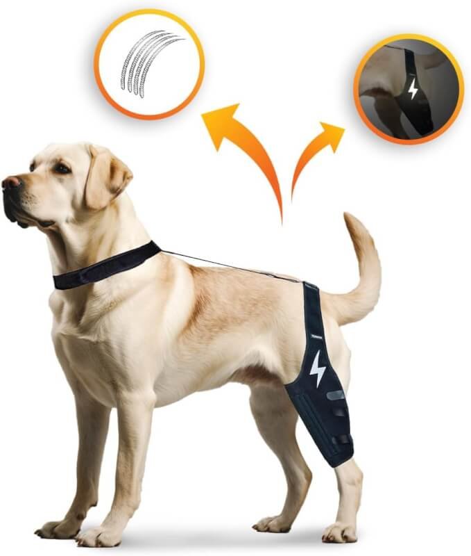 TORKOX Dog Knee Brace, Different Spring Design for Each Dog, Dogs Support and acl Knee for cruciate Leg, Torn ACL and CCL Injuries, Best Support for Canine Hind Leg Joint Pain and Luxating Patella