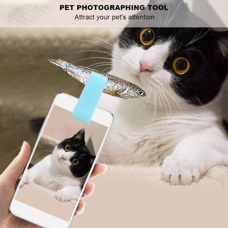 Zerodis 2pcs Pet Selfie Clip Tool, Pet Selfie Artifact Toys Pet Selfie Stick Dog Camera Lens Phone Clip Photographing Props Attract Attention