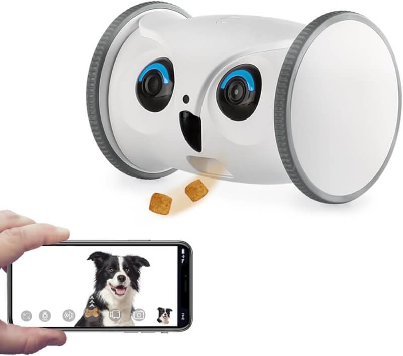 1080p full hd pet camera review