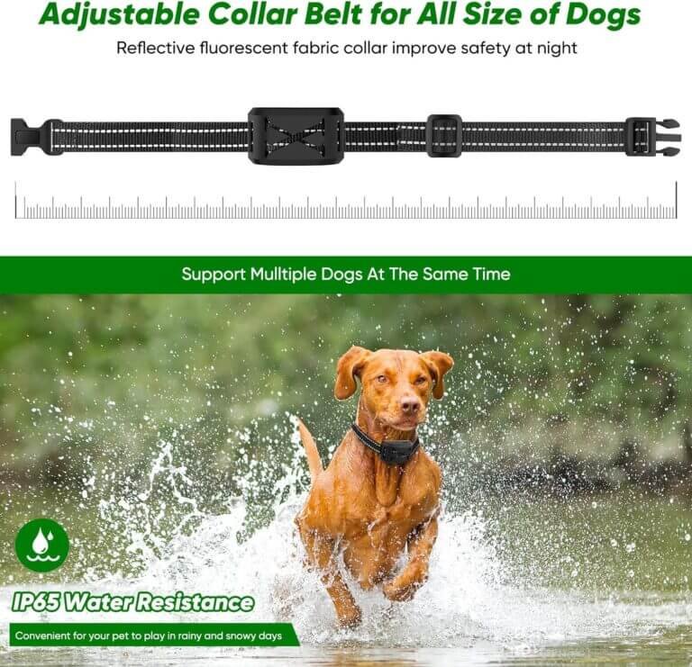 abhy wireless dog fence system review