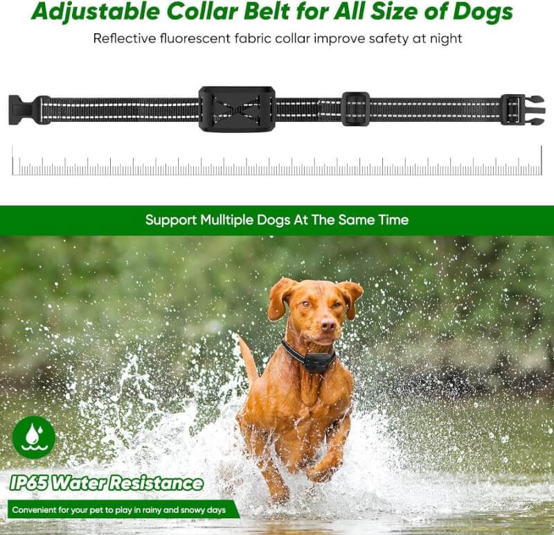 abhy wireless dog fence system review