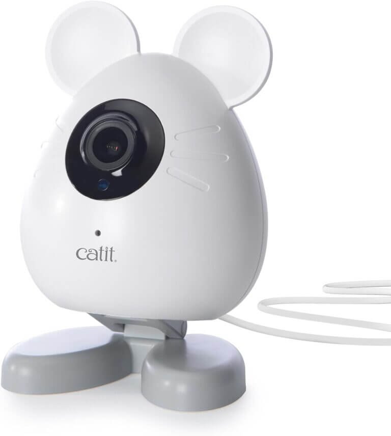 catit pixi smart mouse camera review
