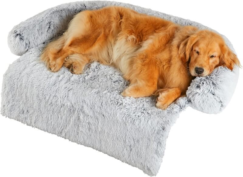 codi dog bed for couch review