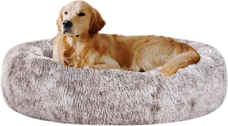 coohom oval calming donut cuddler dog bed review