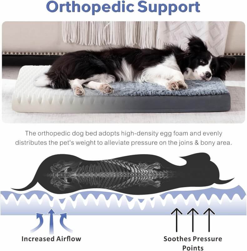 joejoy orthopedic dog bed review