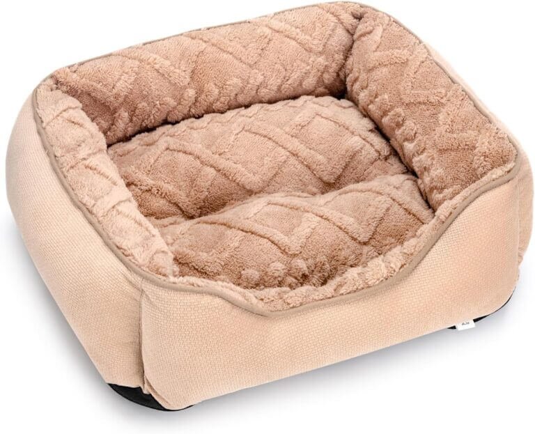 joejoy small dog bed review
