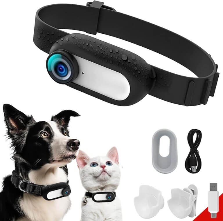 kestanlora cat collar camera review