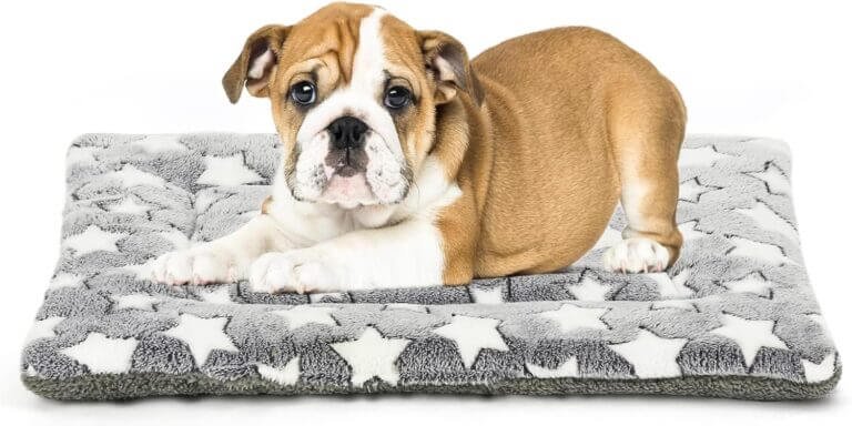 kigmmro dog bed mat review