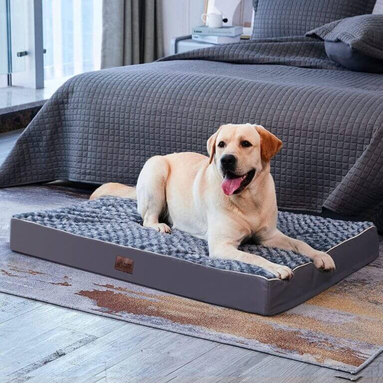 large orthopedic dog bed review