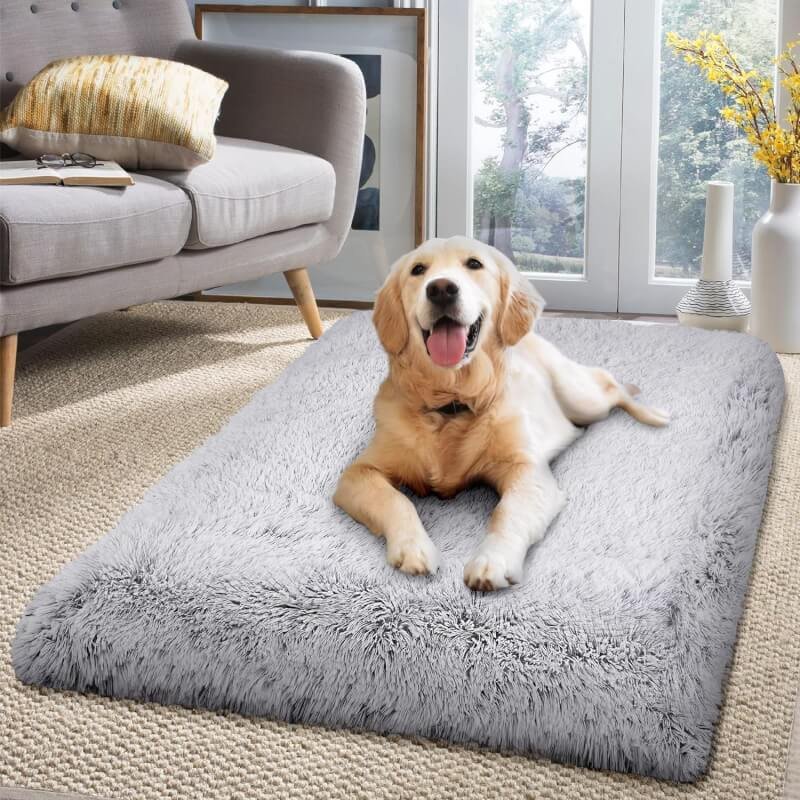 luxurious soft plush dog bed review