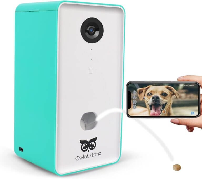 owlet home pet camera review