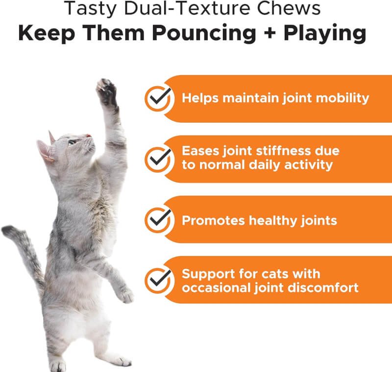 pet honesty cat hip joint health chews glucosamine for cats review