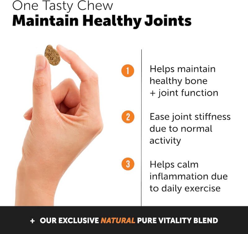 pet honesty hip joint health review