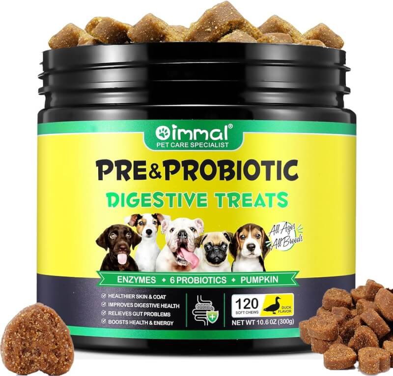 probiotics for dogs digestive enzymes review