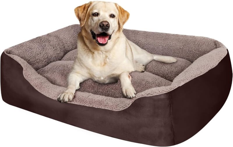 puppbudd dog beds review