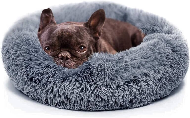 small calming dogs bed review
