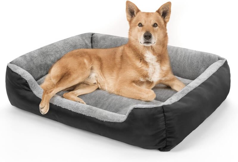 teodty dog beds review