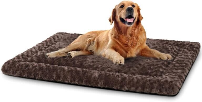 washable dog bed mat review