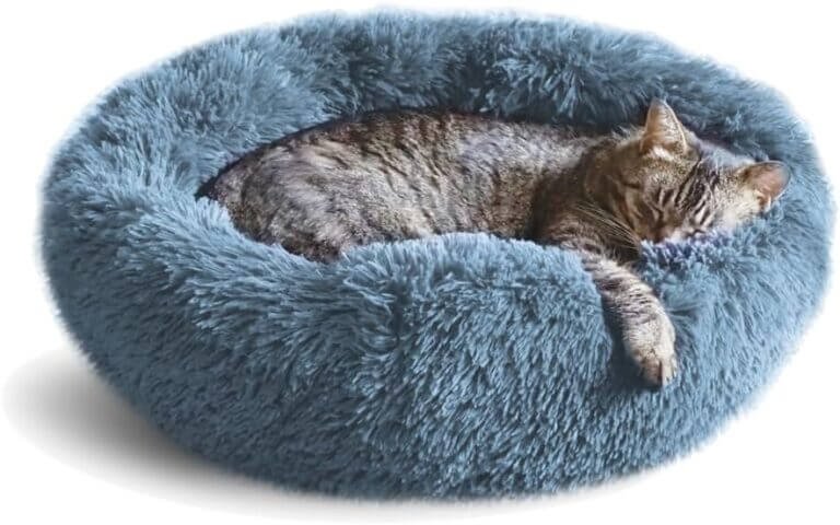 whiskers friends cat bed review