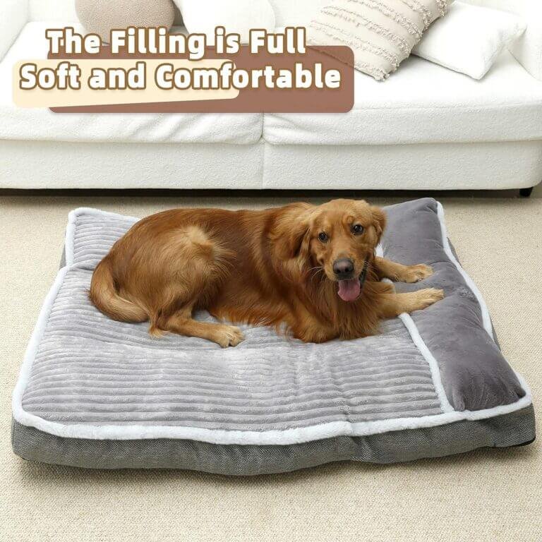 windracing dog bed review