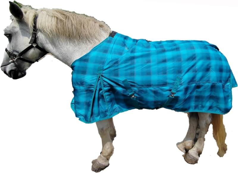 ankaier 600d horse blanket review
