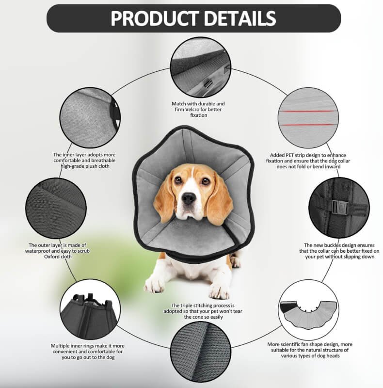 dog cone collar review