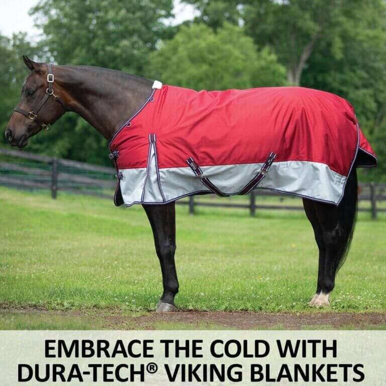 dura tech viking extreme surcingle horse turnout blanket review